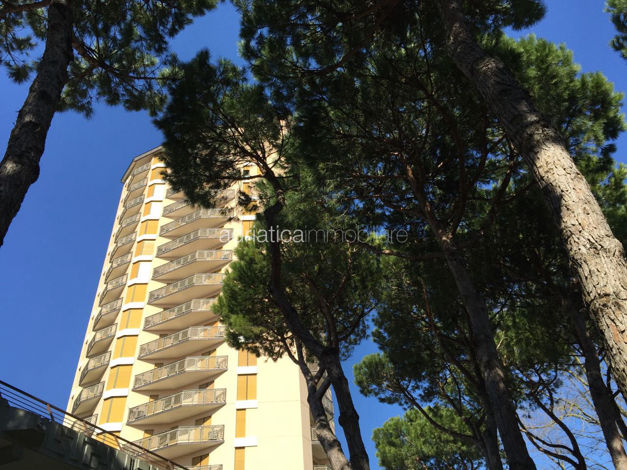 Immagine galleria
