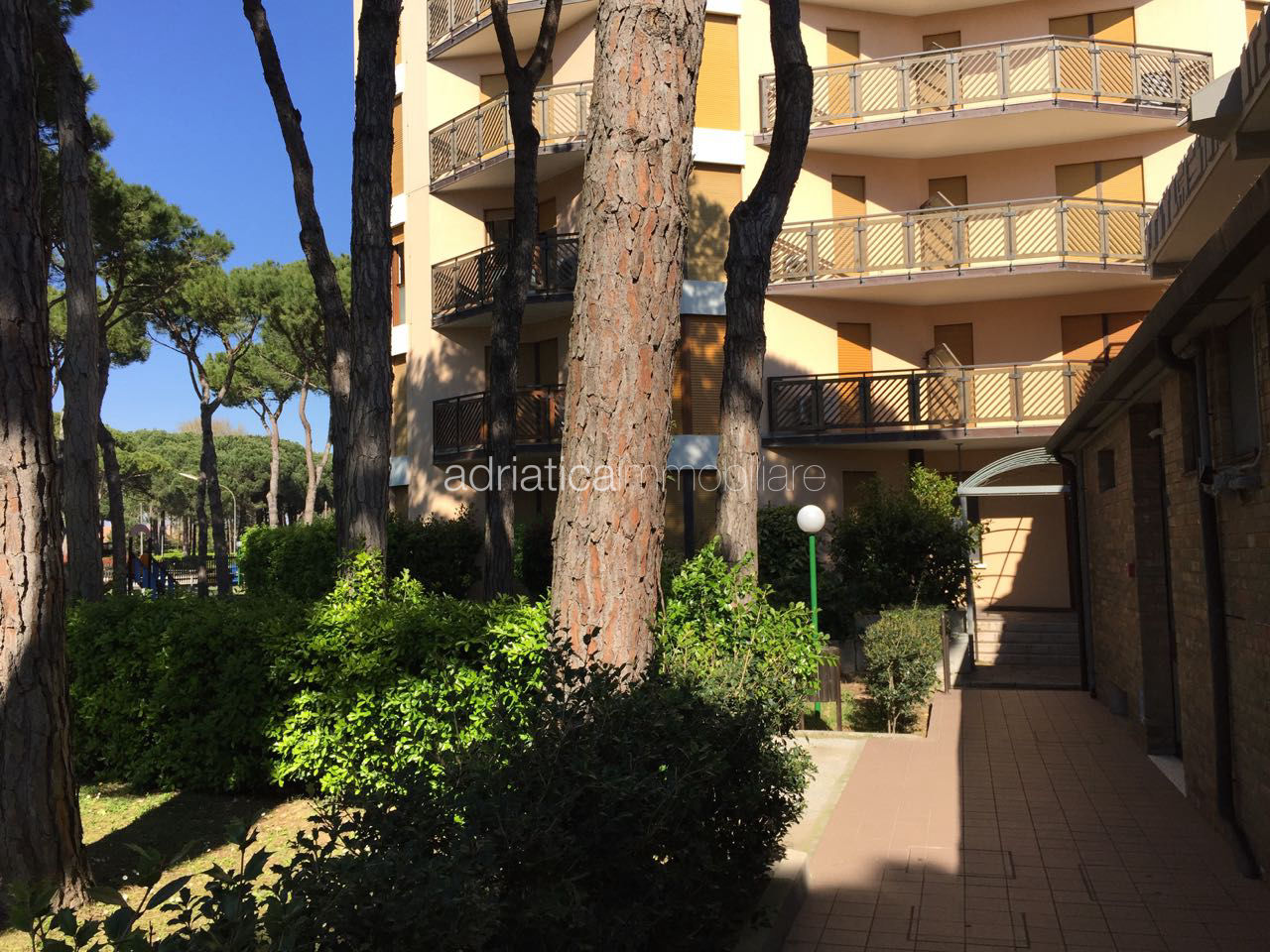 Immagine galleria