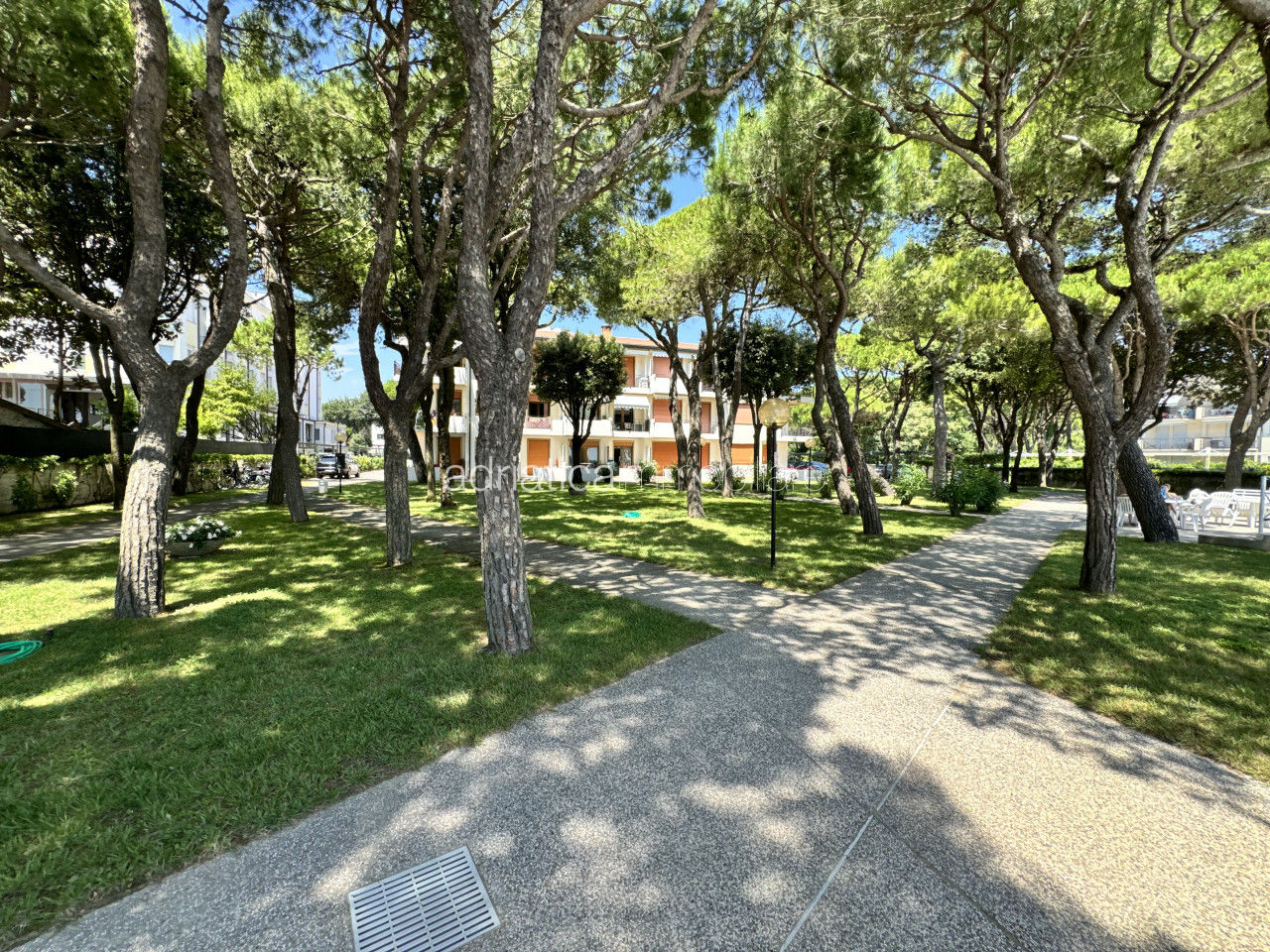 Immagine galleria