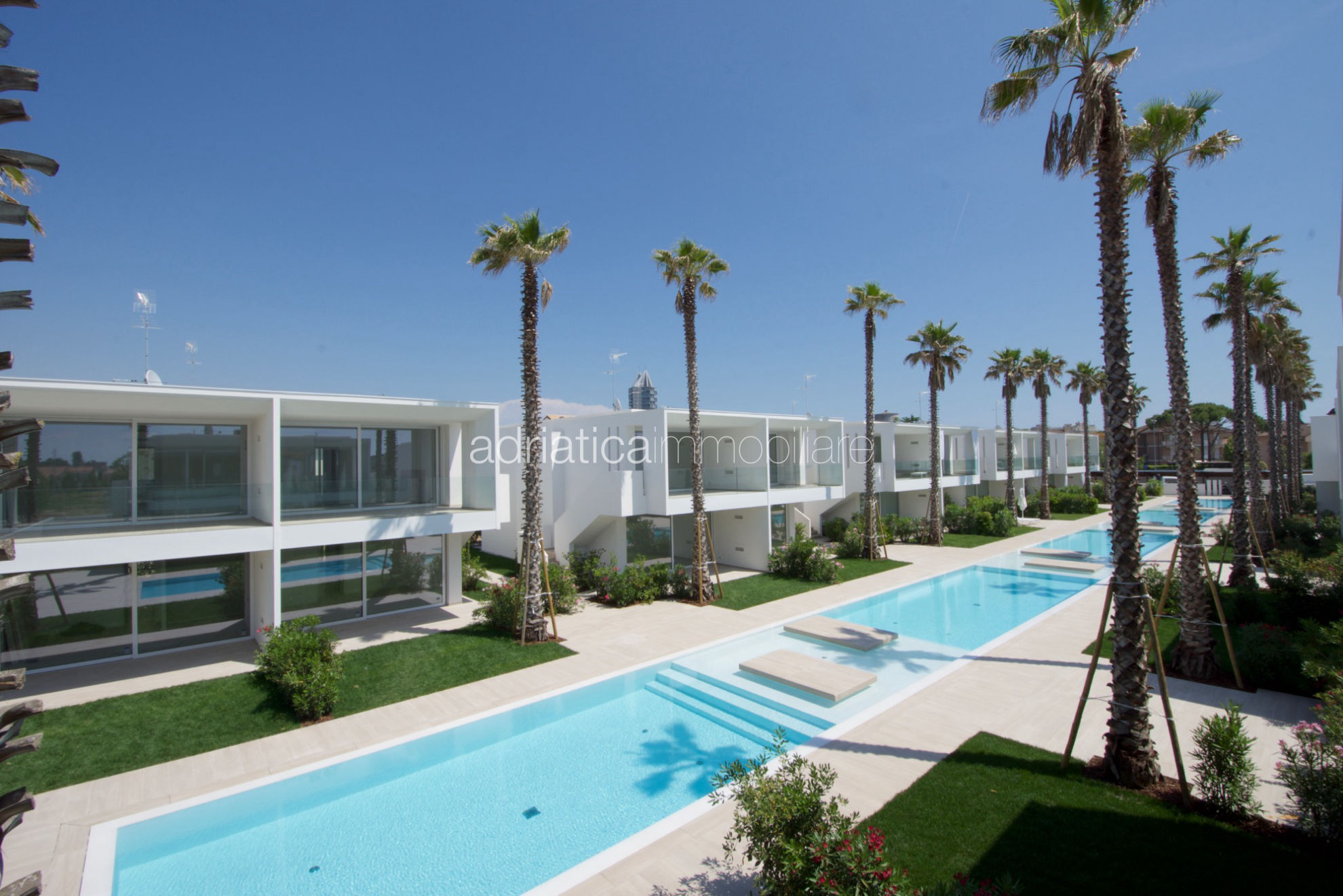 PALMS D21