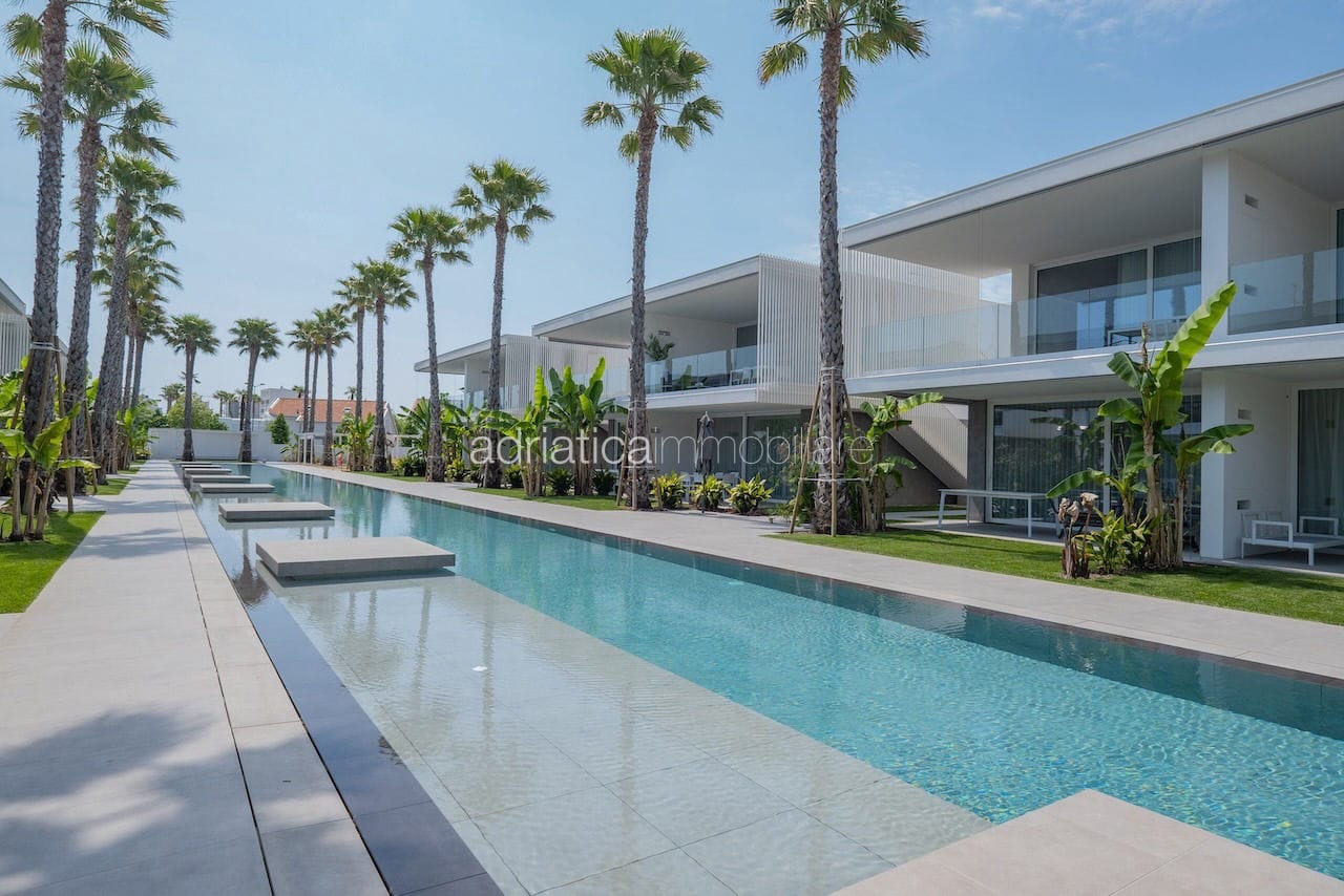 PALMS EDITION E17